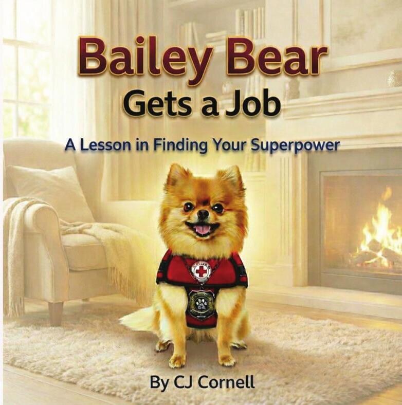 Bailey Bear Gets a Job cover